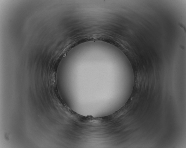 X0000103500236200809121019
