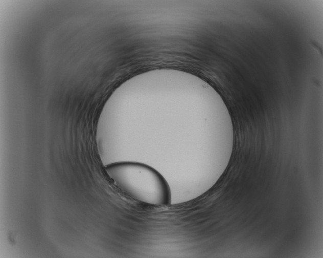 X0000103500237200809121019