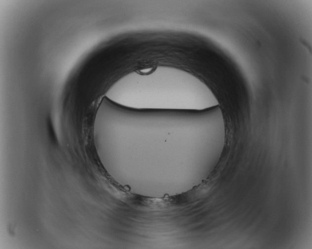 X0000103500239200809121019