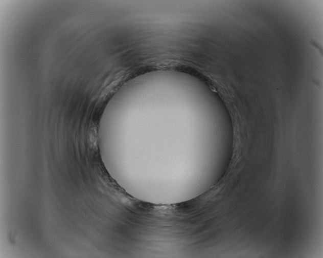 X0000103500240200809121019