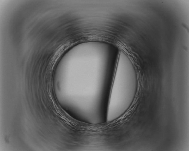 X0000103500241200809121018