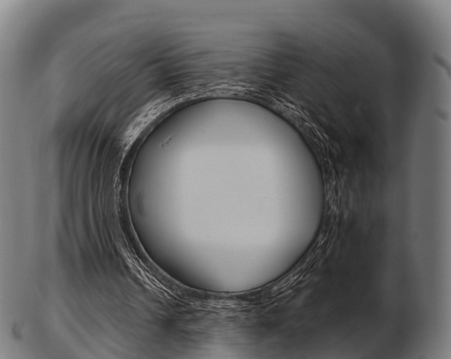 X0000103500242200809121018
