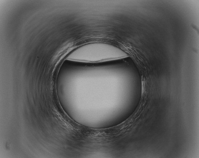 X0000103500243200809121018