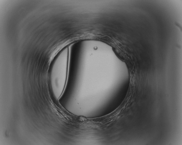 X0000103500244200809121018