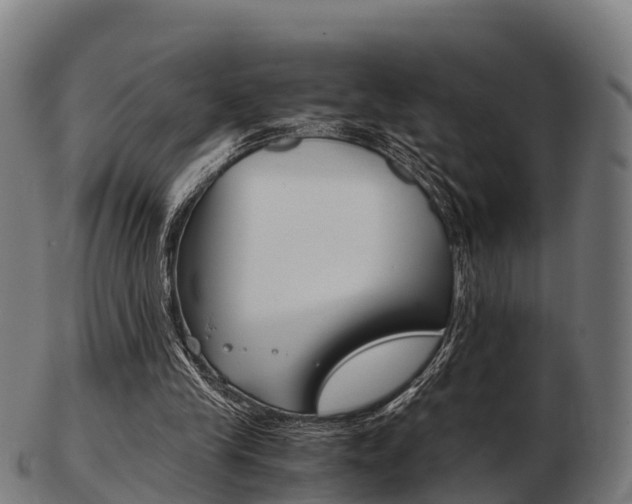 X0000103500245200809121018