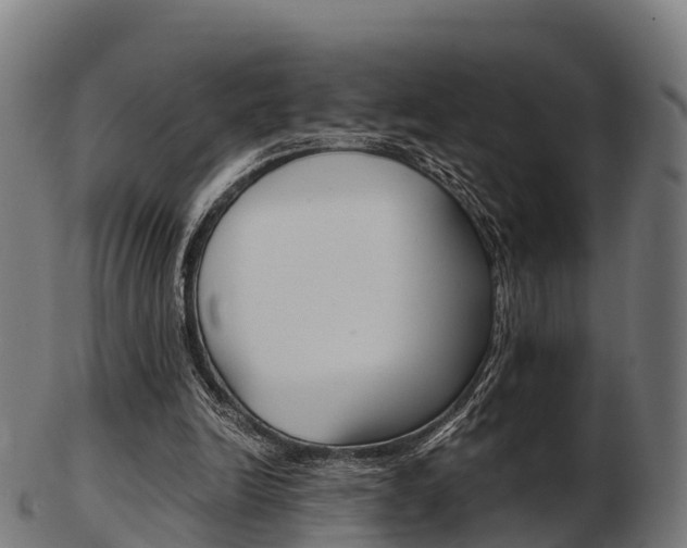 X0000103500246200809121018