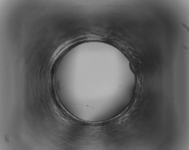 X0000103500247200809121018