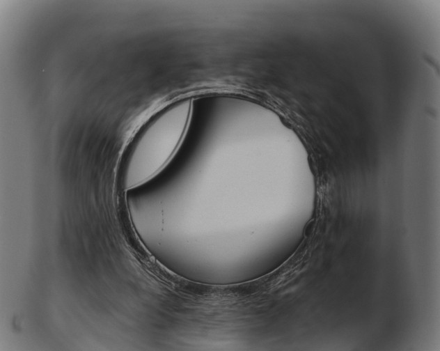 X0000103500248200809121018