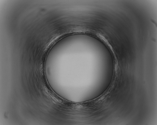 X0000103500249200809121018