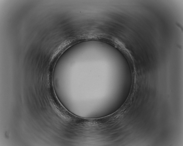 X0000103500250200809121018