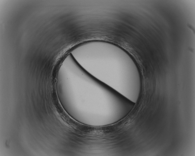 X0000103500252200809121018