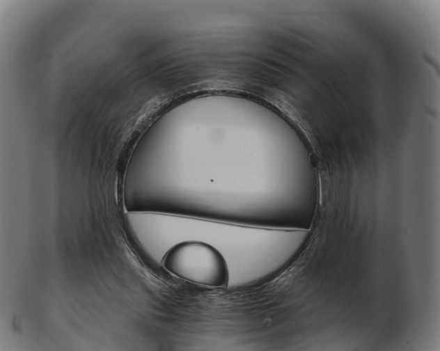 X0000103500253200809121018