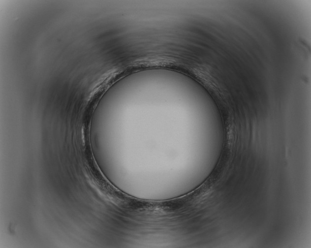 X0000103500254200809121018