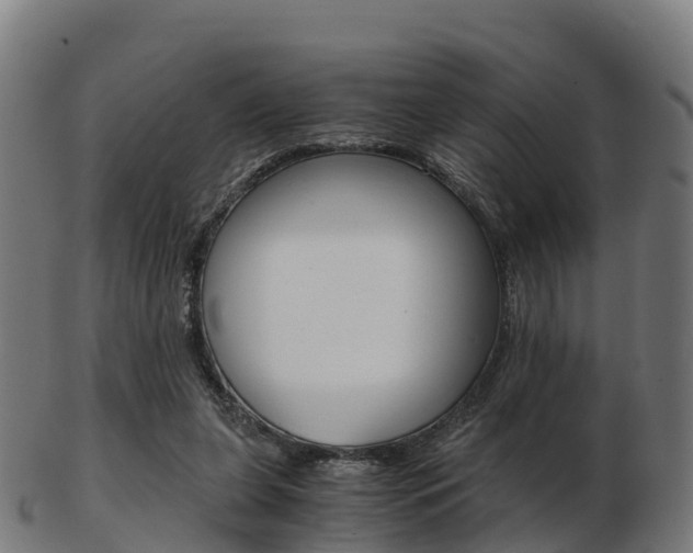 X0000103500255200809121018