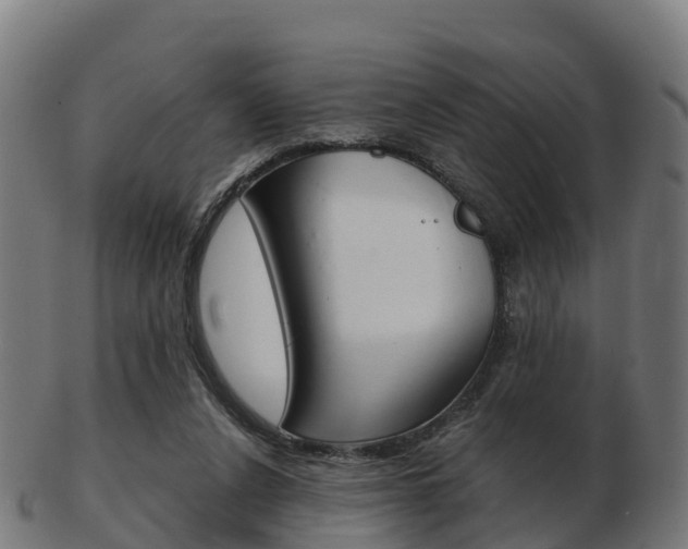 X0000103500256200809121018