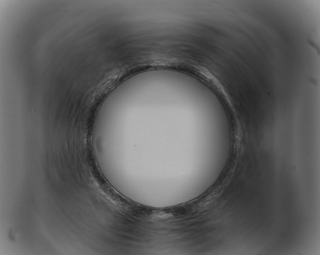 X0000103500257200809121018