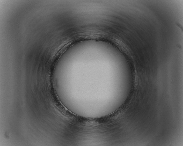 X0000103500258200809121018