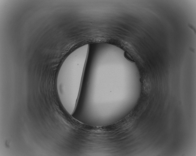 X0000103500259200809121018