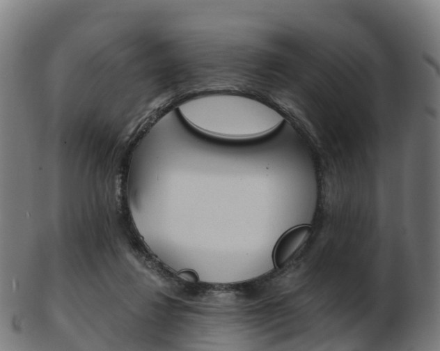 X0000103500260200809121018