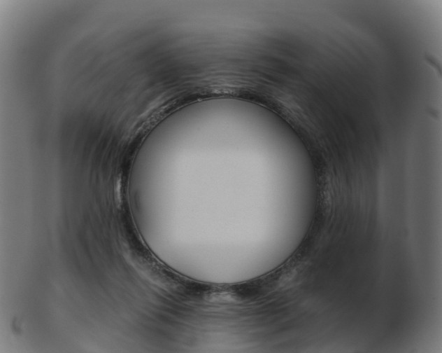X0000103500262200809121018