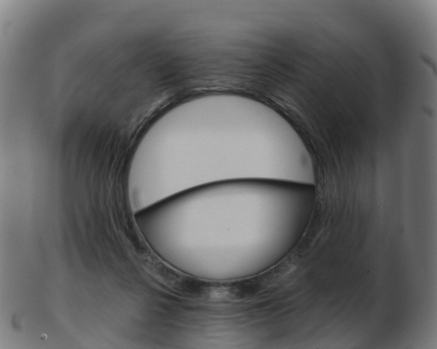 X0000103500264200809121018