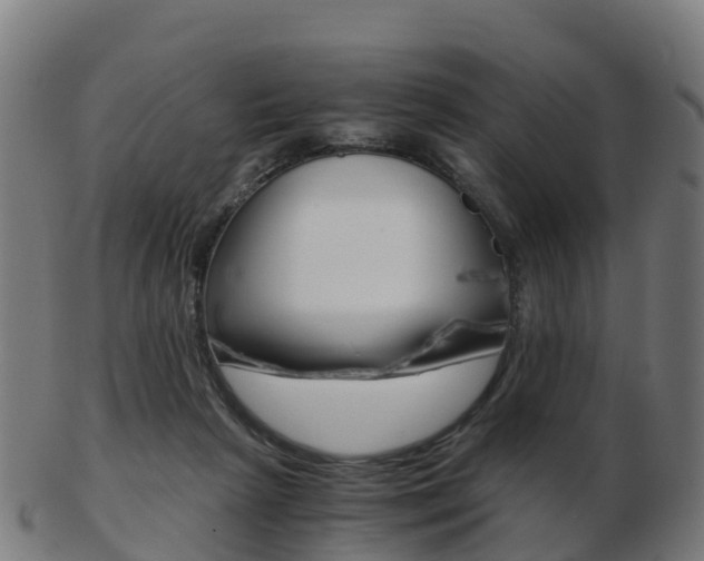 X0000103500265200809121018