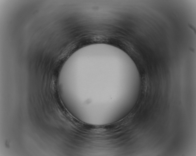 X0000103500266200809121018