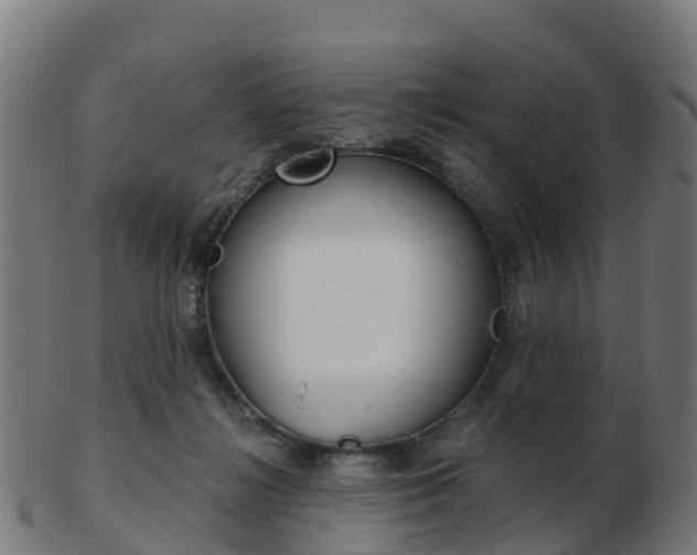 X0000103500268200809121019