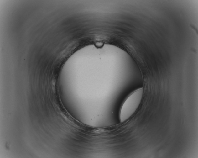 X0000103500269200809121019