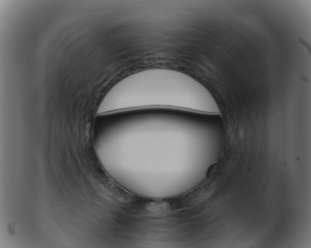 X0000103500271200809121019