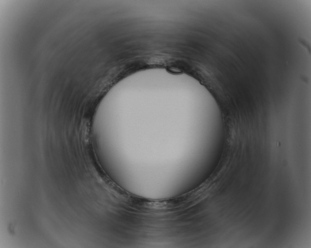 X0000103500273200809121019