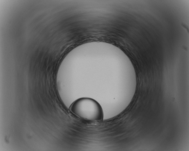 X0000103500276200809121019