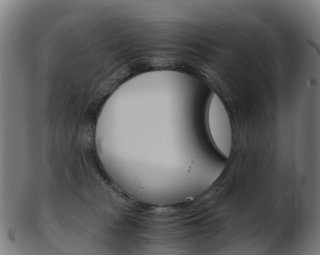 X0000103500277200809121019