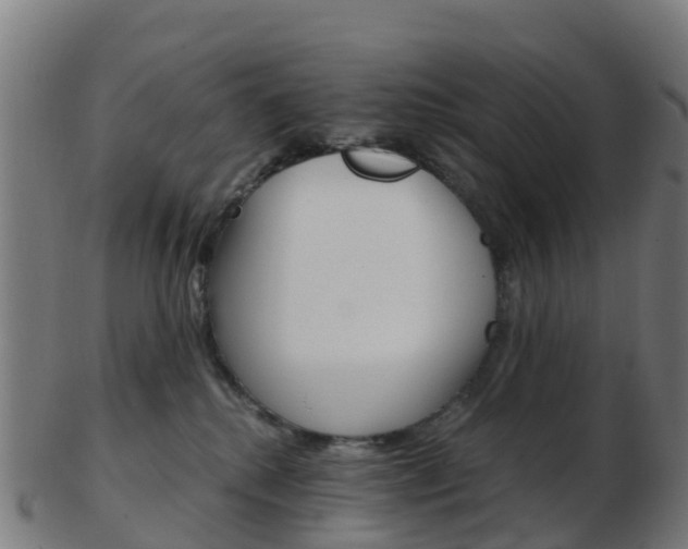 X0000103500280200809121019