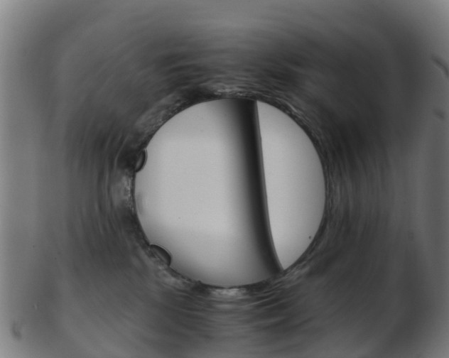 X0000103500281200809121019