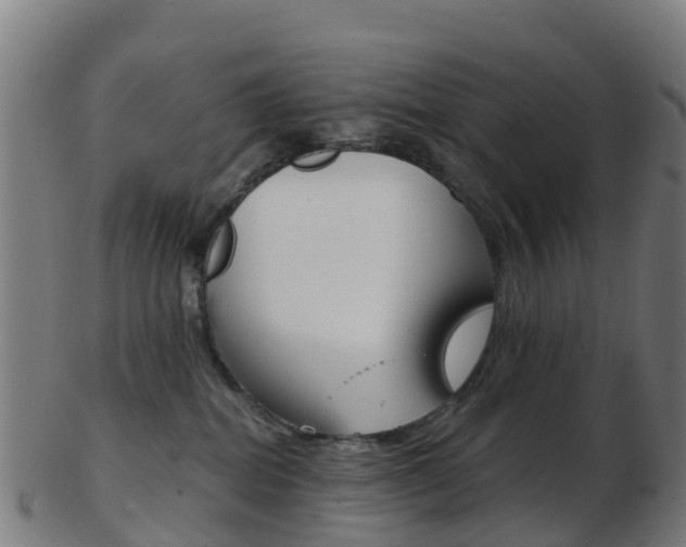 X0000103500282200809121019