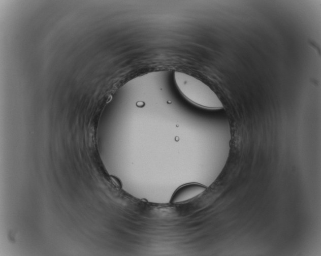 X0000103500283200809121019