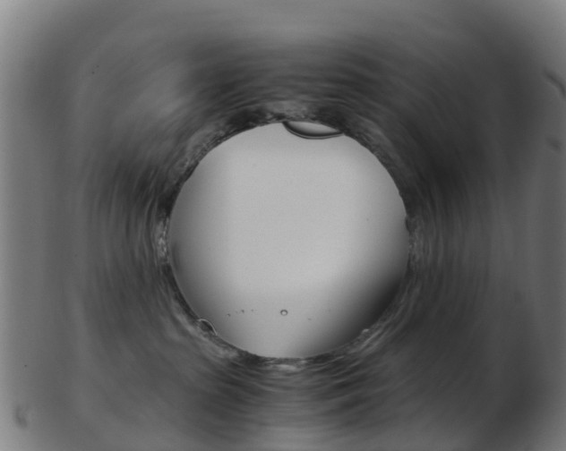 X0000103500285200809121019