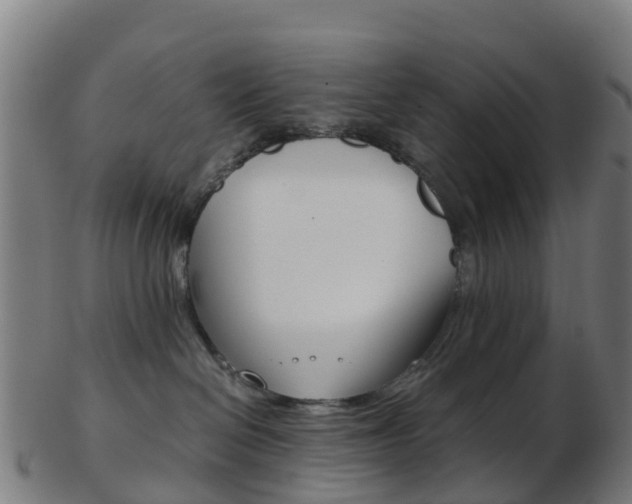 X0000103500286200809121019