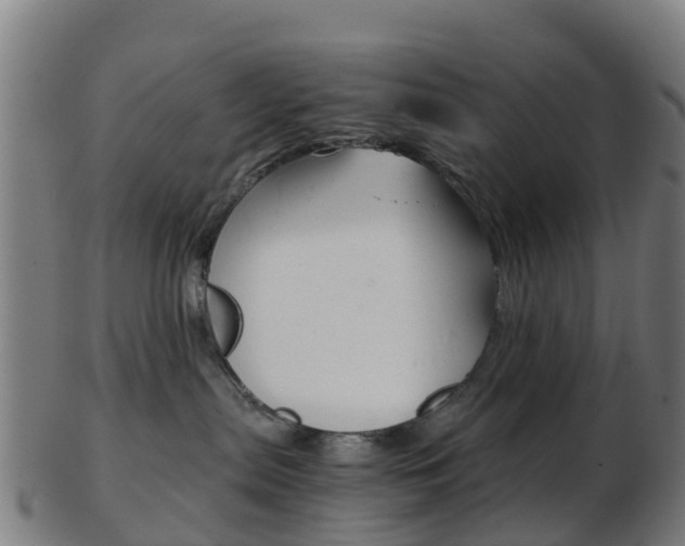 X0000103500287200809121019