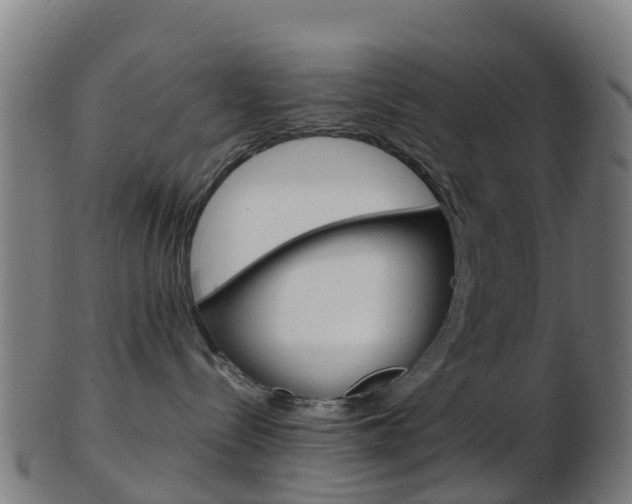 X0000103500288200809121019