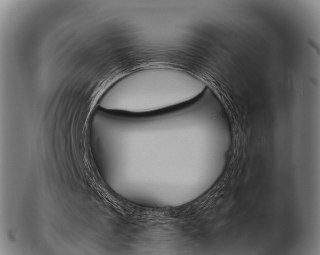 X0000103500289200809121018