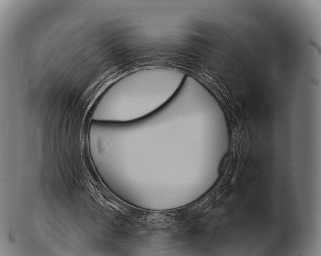 X0000103500290200809121018
