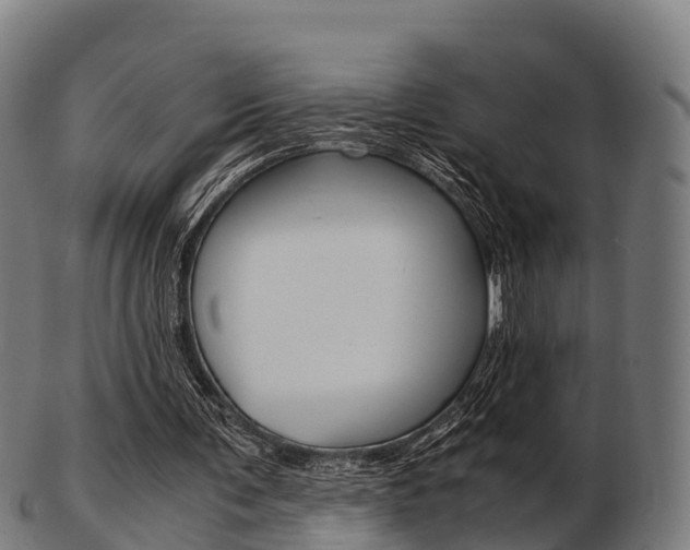 X0000103500291200809121018