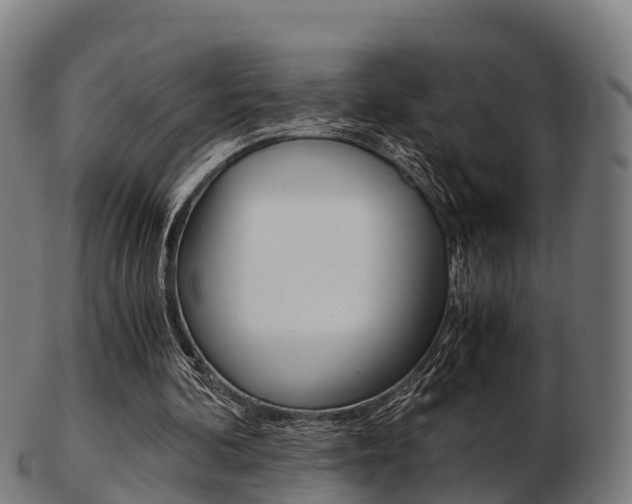 X0000103500292200809121018