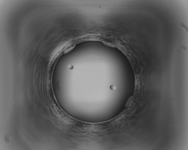 X0000103500293200809121018