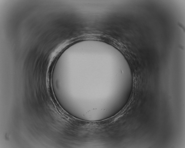 X0000103500294200809121018