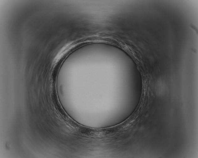 X0000103500295200809121018