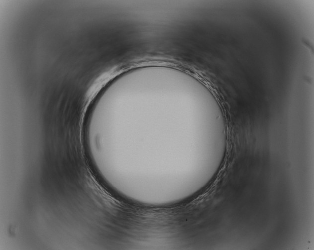 X0000103500296200809121018