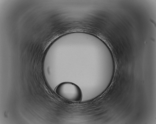 X0000103500297200809121018